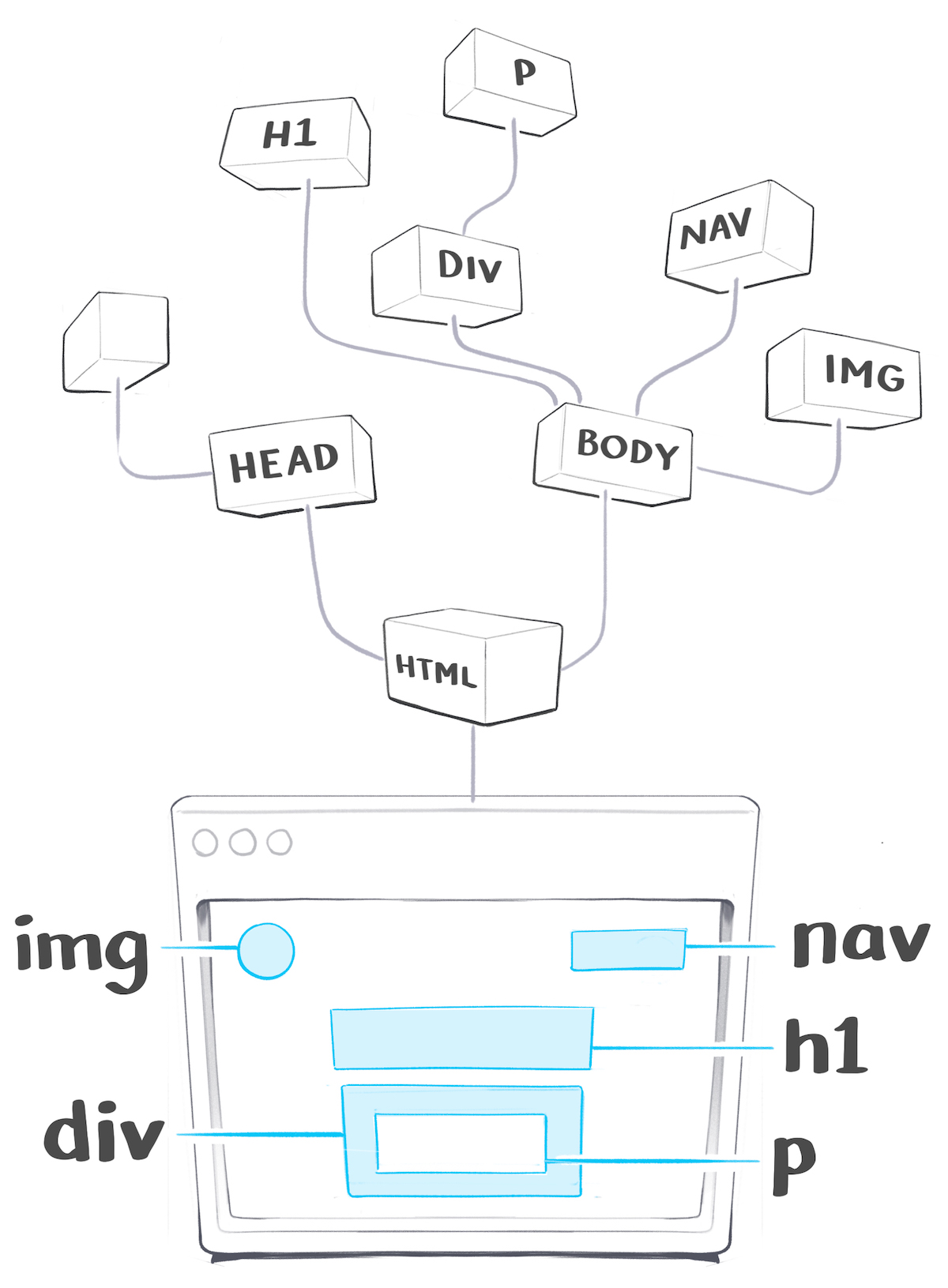 The nodes in the DOM tree are like a family tree. They have parents, children, and sibling nodes