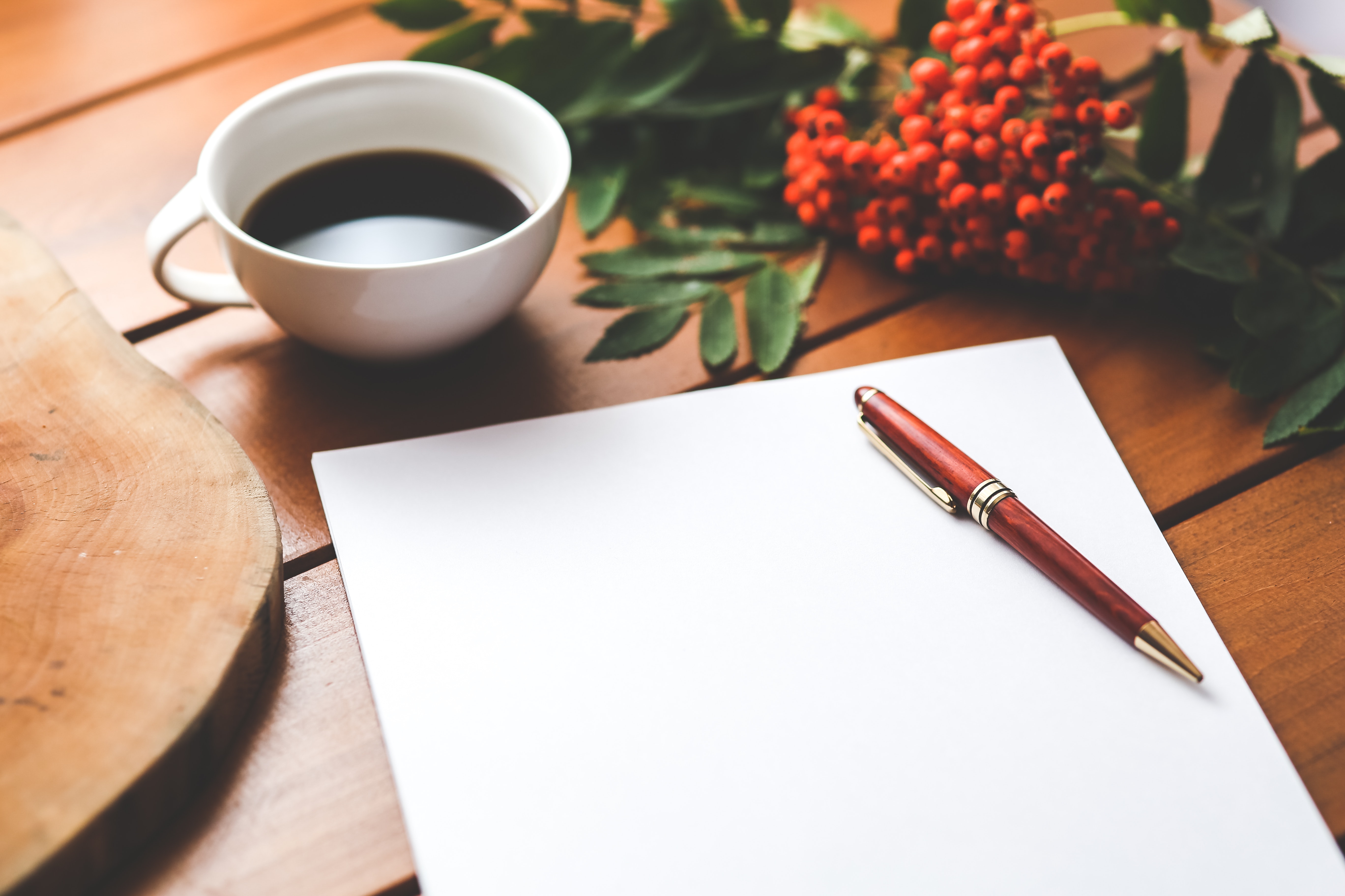 professional content writing services
