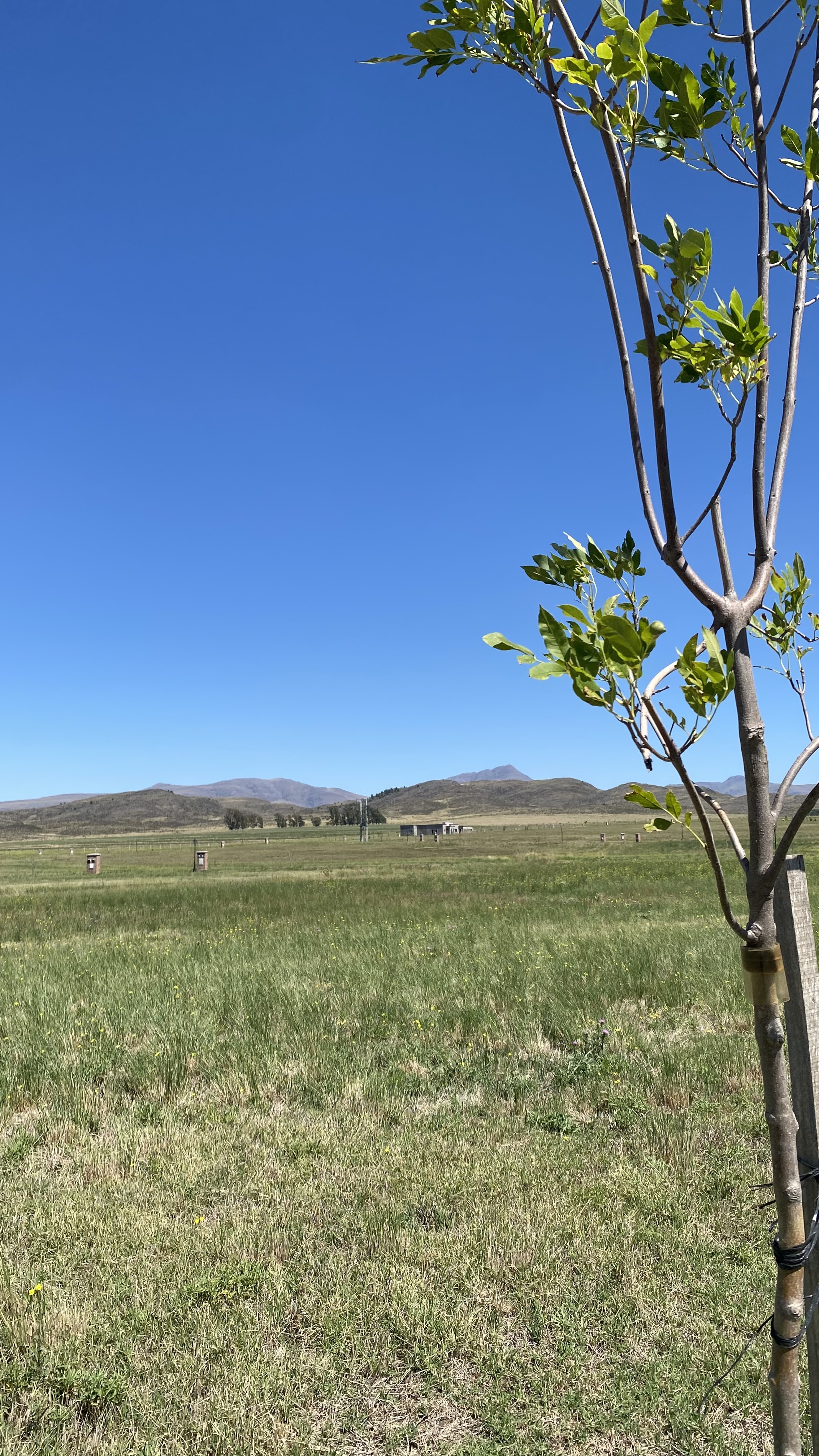 Imagen de la propiedad 2