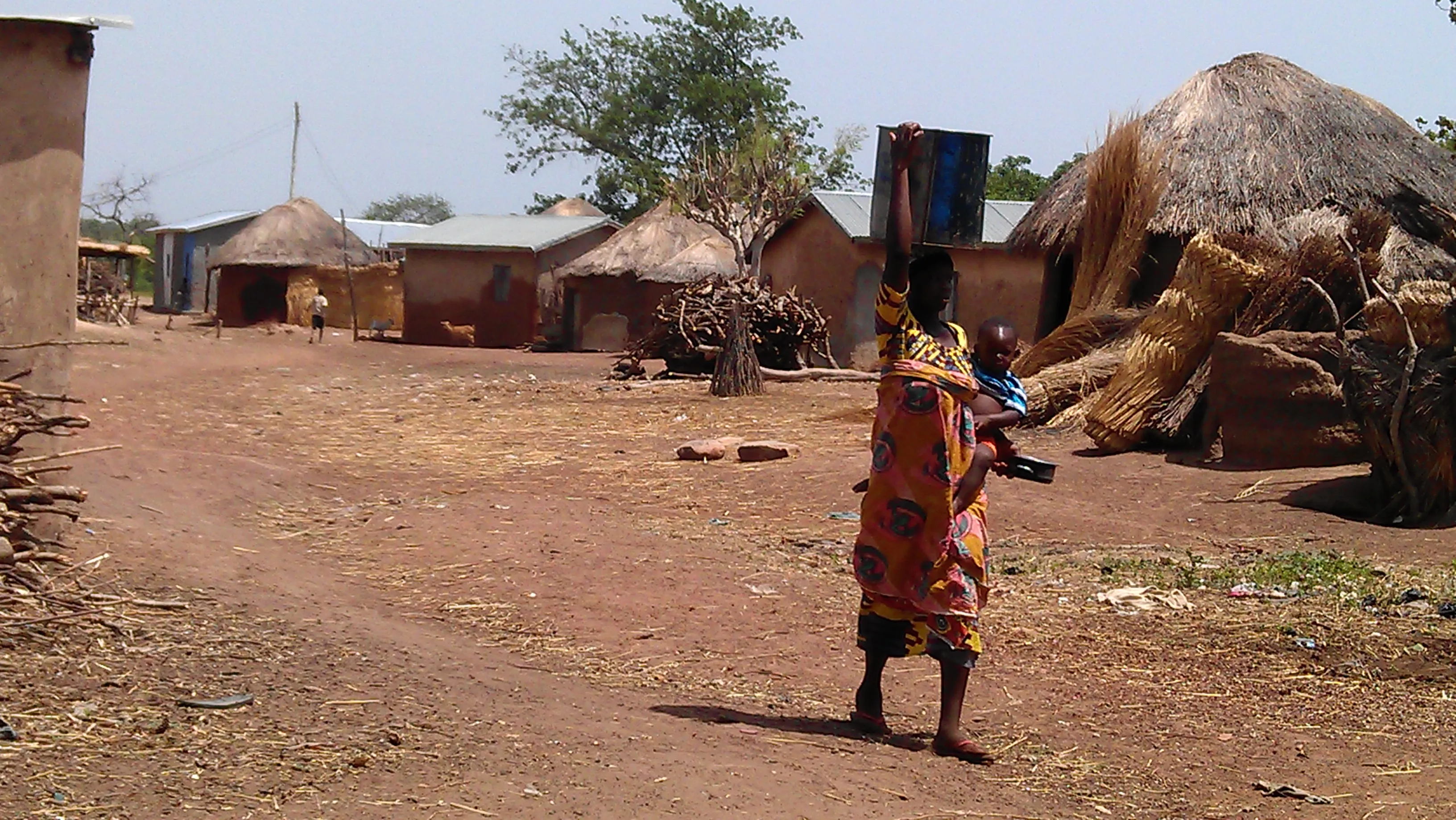 Lacuma Family Adoption