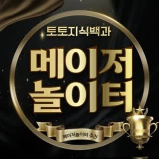 🇰🇷메이저놀이터 총판협회🇰🇷 (Major Networking)