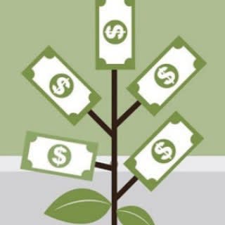 Learn Fast Earn Strategies