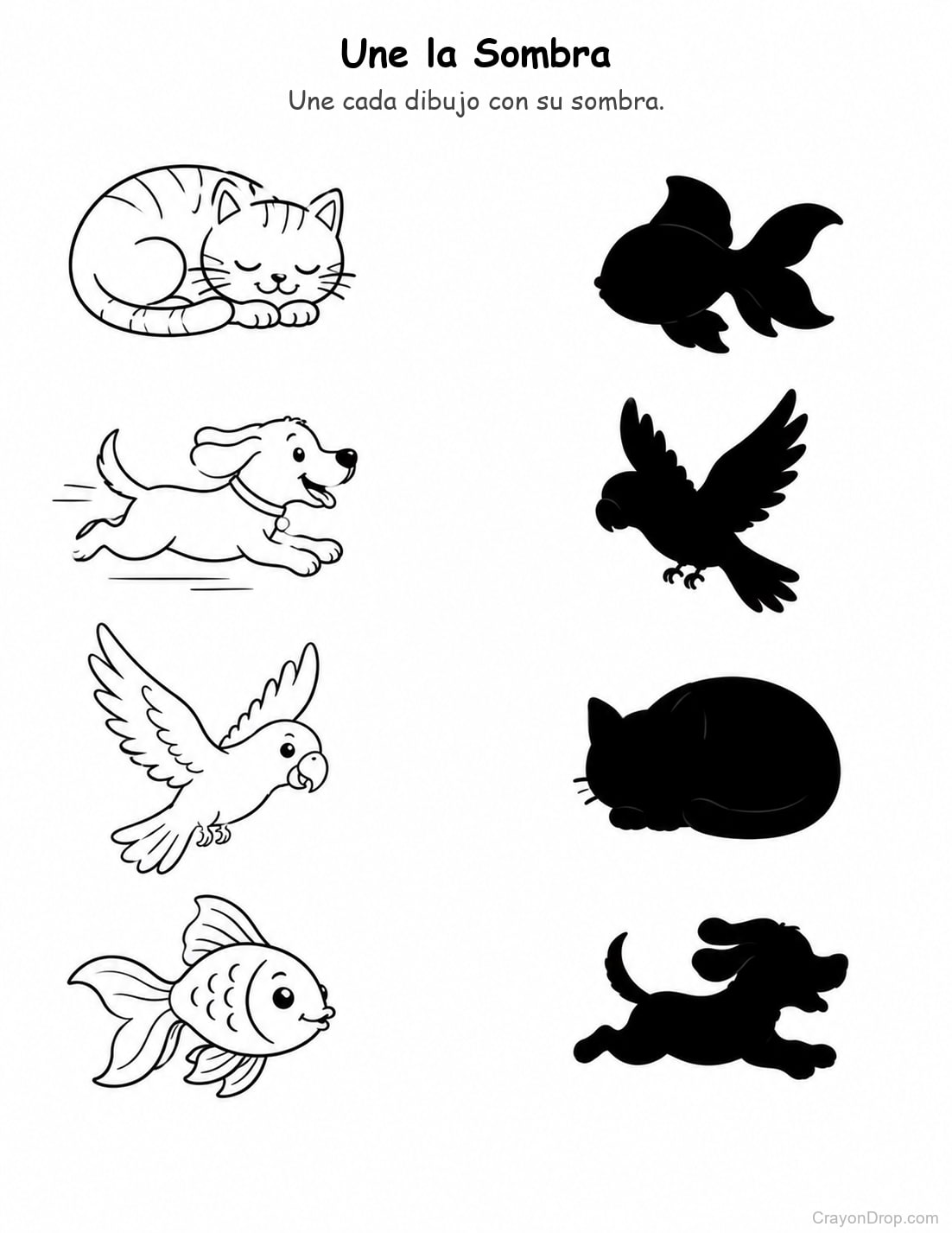 Ap Animals Shadow Match página para colorear