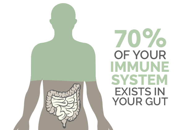 Gut health and immunity