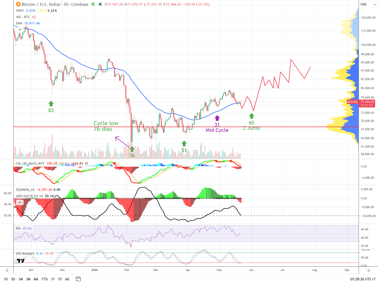 BTC diario - cycle low en proceso