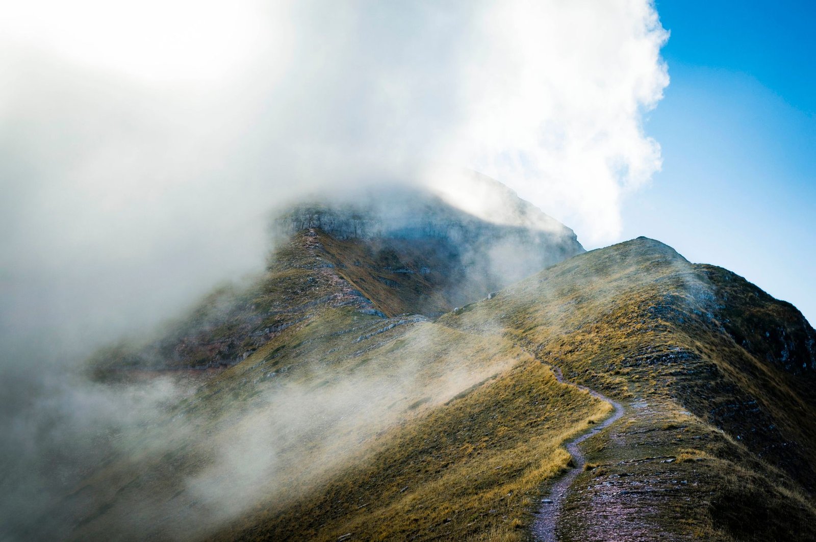Sendero de montaña entre la niebla
