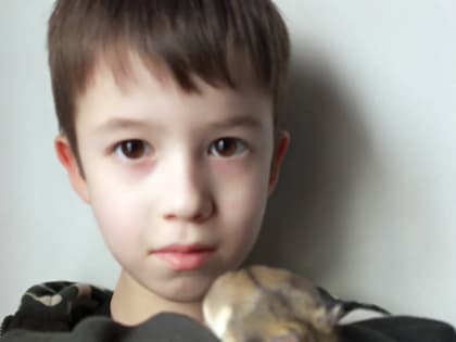 О домашнем питомце 9