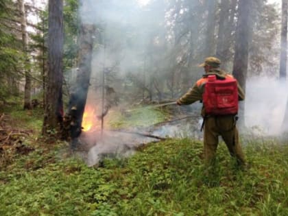 Пик летних лесных пожаров пройден в Хабаровском крае