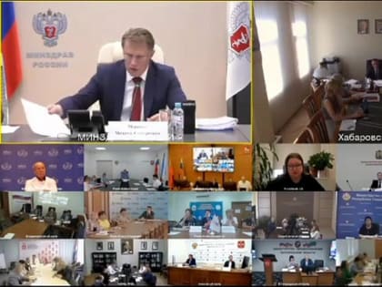 В Хабаровском крае объяснили рабочий момент на заседании в Минздраве России