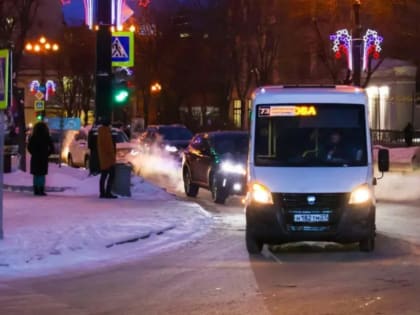 Хабаровск 17 января приблизится к рекорду холода этого дня