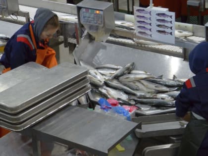 Камчатка и Приморье на первом месте по финансированию в Дальнем Востоке