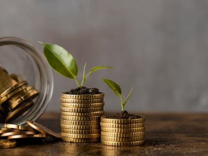 Вывоз 47 старинных монет в Китай предотвратили таможенники Хабаровска