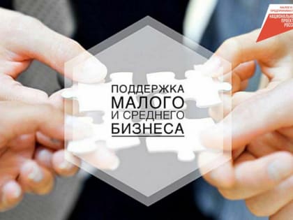 Каждое двенадцатое поручительство Гарантийного фонда в Хабаровском крае выдают начинающим бизнесменам
