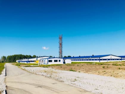 «СКИФАГРО-ДВ» открывает крупнейший в Хабаровском крае свинокомплекс