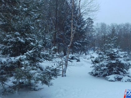 О погоде на выходные в Хабаровске рассказали синоптики