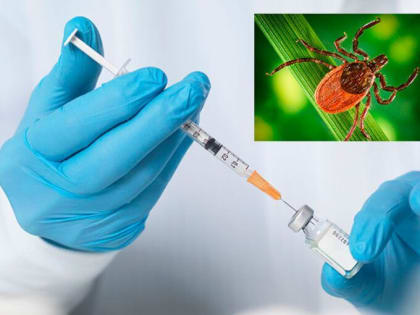 В регионе стартовала прививочная кампания против клещевого энцефалита