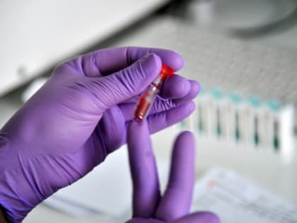 В России официально подтвердили случай заболевания сибирской язвой