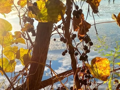 Зимние ночи в Аяно-Майском районе: погода радует любителей природы