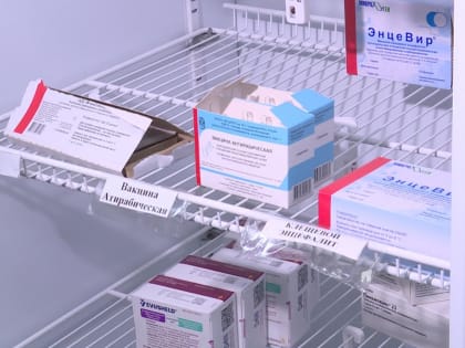 Вакцинация от клещевого энцефалита началась в Хабаровске