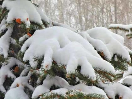 Идут крещенские морозы