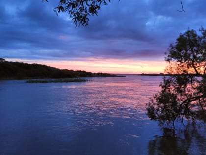Приход осени: любимый овощ Руси начинает созревать