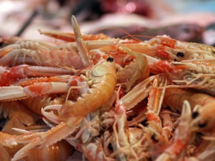 Ограничения на вывоз сельскохозяйственной продукции продлены до конца года