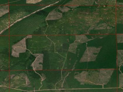 Специалисты отдела ДН и ГИС приступили к работе по выявлению земель, не занятых лесными насаждениями и требующих лесовосстановления за 2 квартал 2024 года