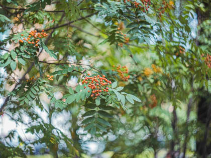 Погода сходит с ума! Синоптики предупредили жителей регионов об аномалиях