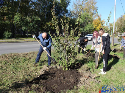 Сегодня в Хабаровске идет субботник