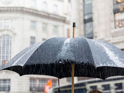 В Хабаровском крае 26 июля пройдут летние дожди