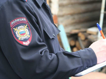 Хабаровчанин заплатит штраф за кражу из пункта выдачи заказов