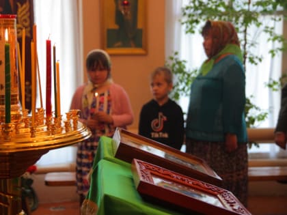 В день памяти святой блаженной Ксении Петербургской митрополит Артемий возглавил Божественную литургию в храме села Некрасовка