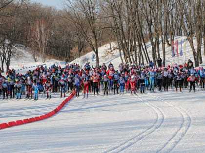 Более пятисот хабаровчан приняли участие в «Лыжне России»