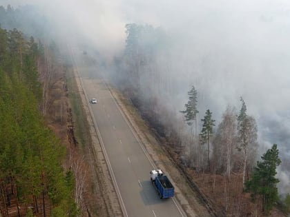 В лесах Хабаровского края введен режим чрезвычайной ситуации