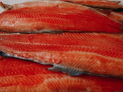 Промышленный вылов летней кеты разрешили на Амуре в Хабаровском крае