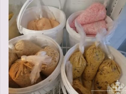 Роспотребнадзор закрыл кафе в Хабаровске из-за кишечной инфекции