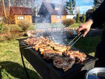 На чужой мангал позарилась хабаровчанка