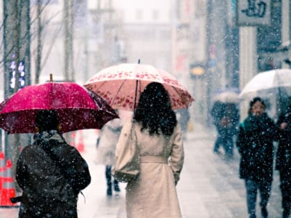 В Хабаровском крае 12 апреля ожидаются сильные дожди со снегом