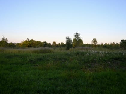 «Дальневосточные гектары» продолжают пользоваться спросом в Хабаровском крае