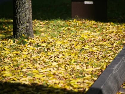 Ненастье на горизонте: дожди и холодный фронт уже на следующей неделе