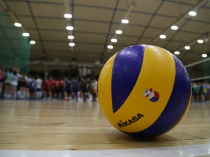 Губернаторский кубок по волейболу разыгрывают в Хабаровске