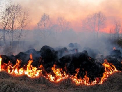 Поджигателям травы в Хабаровском крае грозит уголовная ответственность