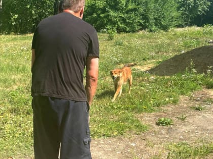 Новые методы лечения зависимостей применяют в наркологическом диспансере Комсомольска-на-Амуре