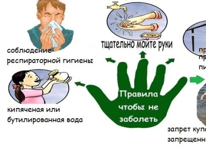 О мерах профилактики заболеваемости энтеровирусной инфекцией