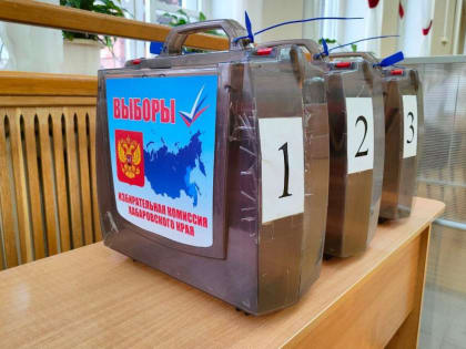 На ряде участков в Хабаровском крае явка уже превысила 95%