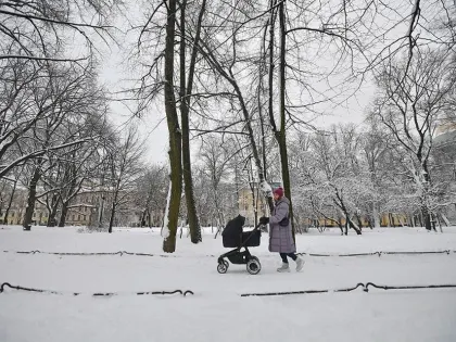 В Хабаровском крае будет без существенных осадков 15 февраля