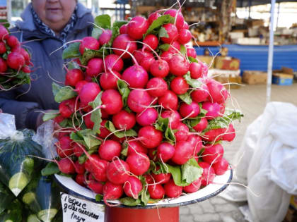 Что почём: цены на черемшу в Хабаровске не меняются четыре года