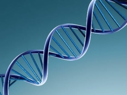 Генетики продолжают осваивать метод ПЦР в режиме реального времени