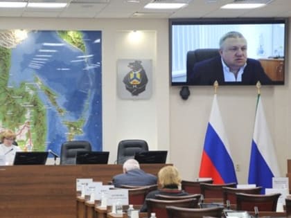 Пути решение проблем лечения пациентов с редкими заболеваниями искали совместно с федеральными специалистами - Законодательная Дума Хабаровского края