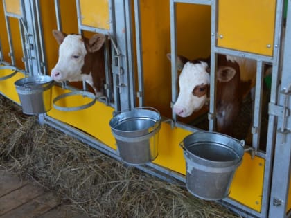 Нацпроект увеличил поддержку сельхозкооперативов Хабаровского края